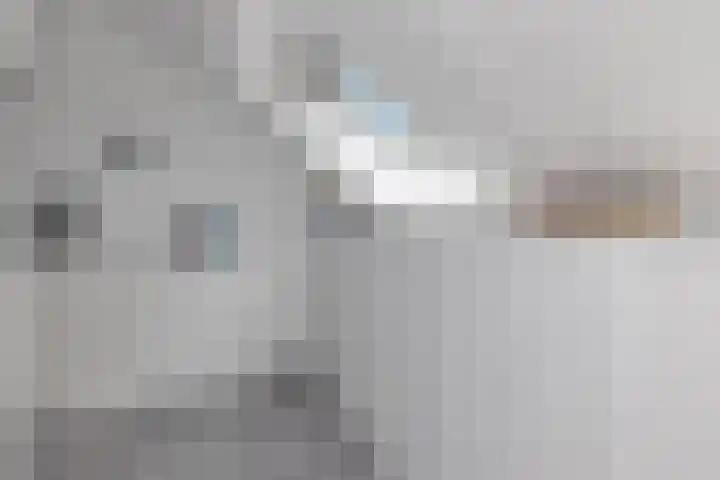 Bregweitje 6 Blokker thumbnail 34