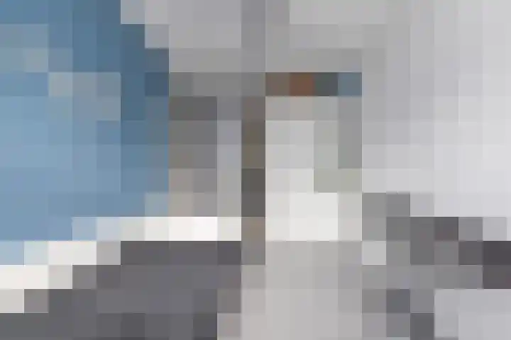 Bregweitje 6 Blokker thumbnail 39