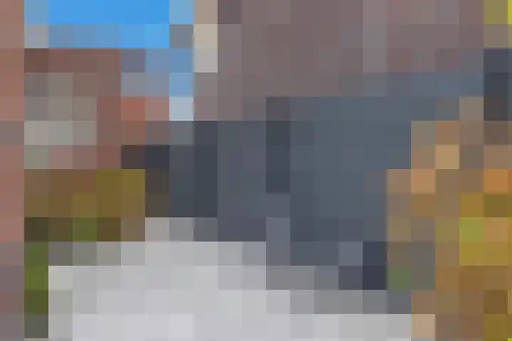 Bregweitje 6 Blokker thumbnail 53
