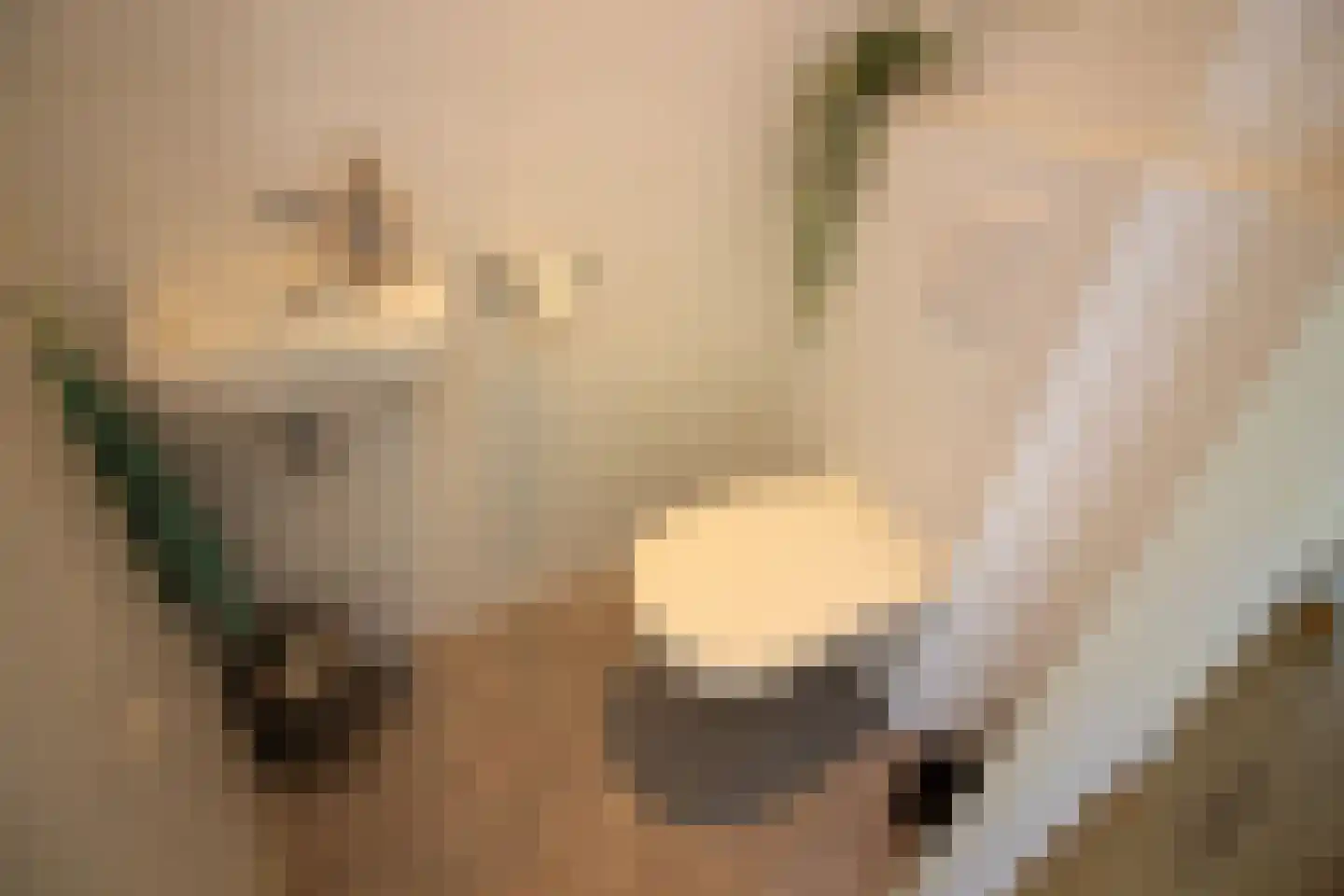 Bregweitje 7 Blokker thumbnail 10