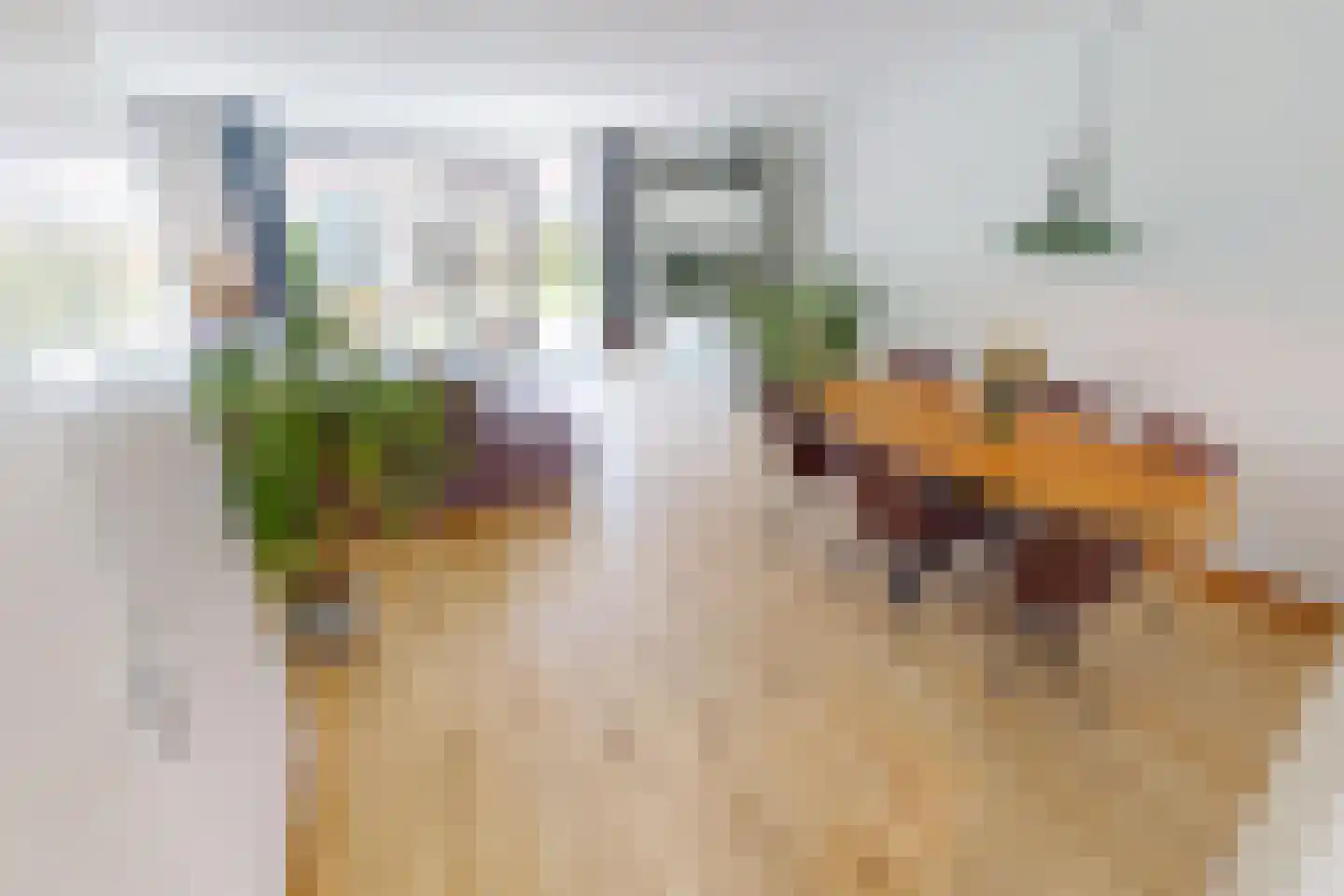 Bregweitje 7 Blokker thumbnail 11