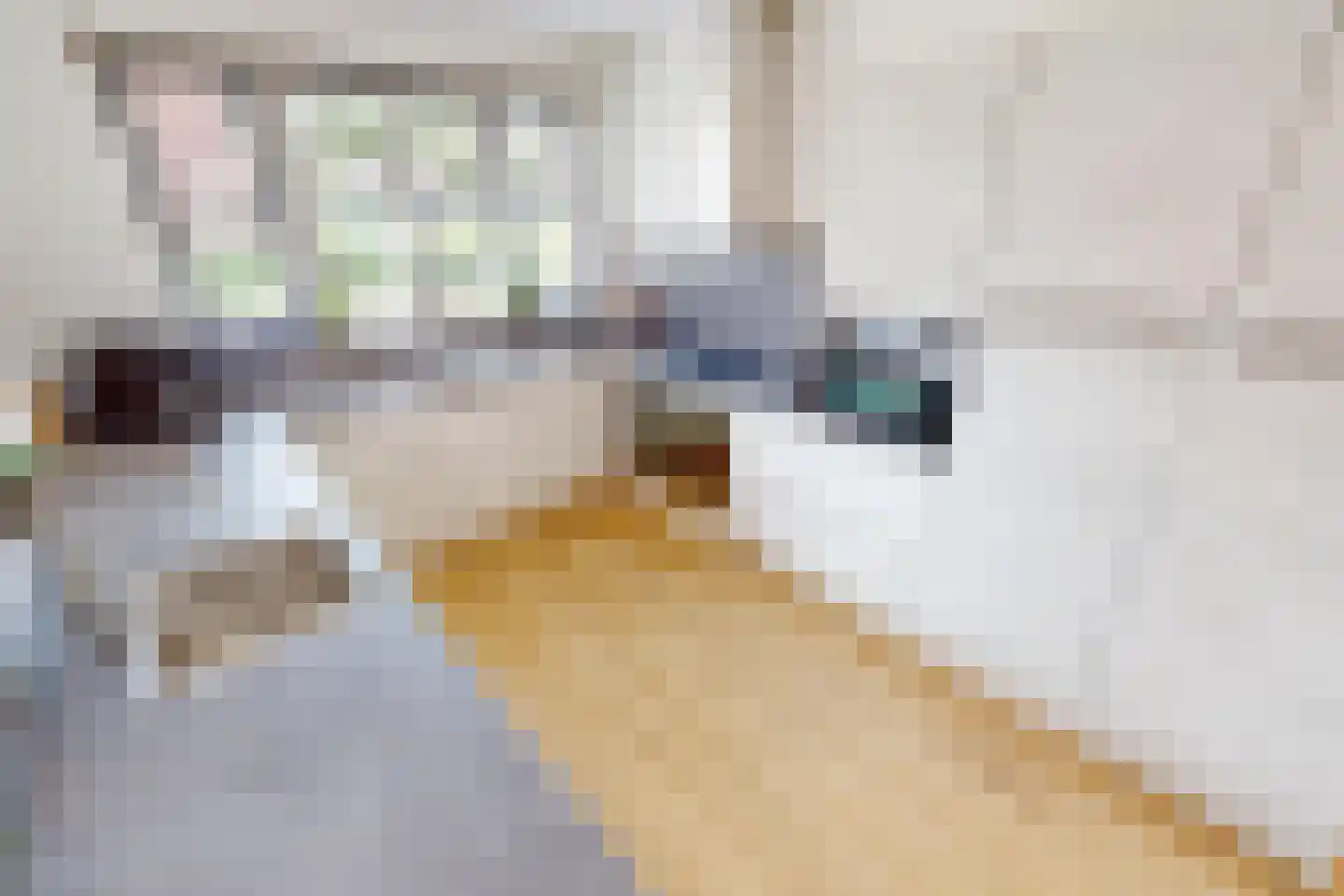 Bregweitje 7 Blokker thumbnail 15
