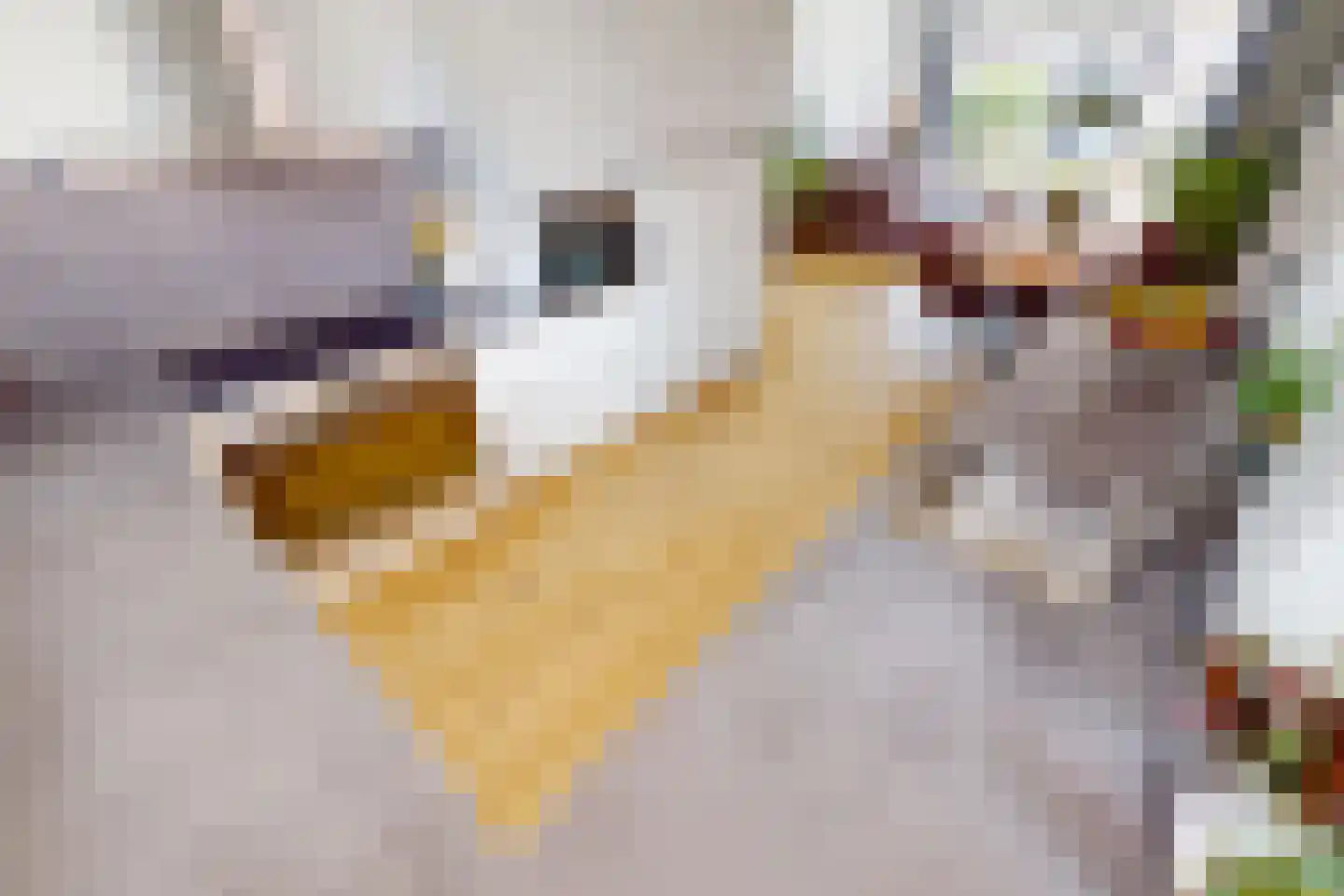 Bregweitje 7 Blokker thumbnail 16