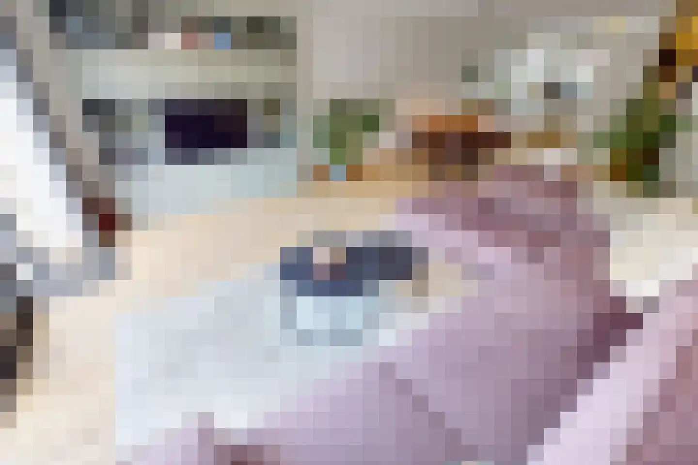 Bregweitje 7 Blokker thumbnail 23