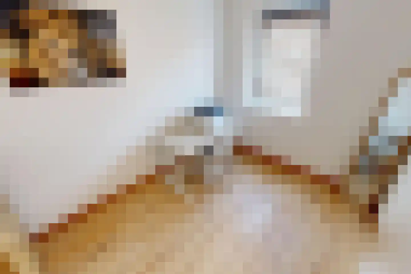 Bregweitje 7 Blokker thumbnail 29