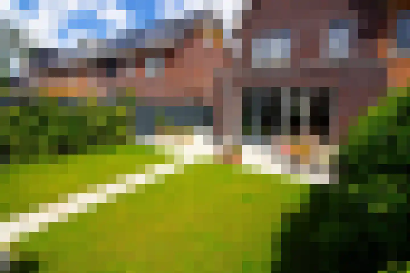 Bregweitje 7 Blokker thumbnail 52