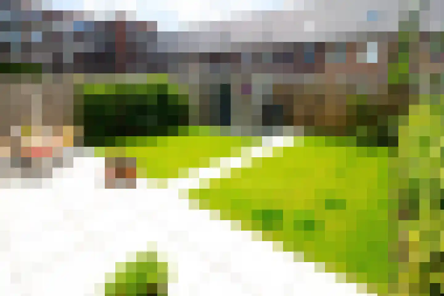 Bregweitje 7 Blokker thumbnail 54