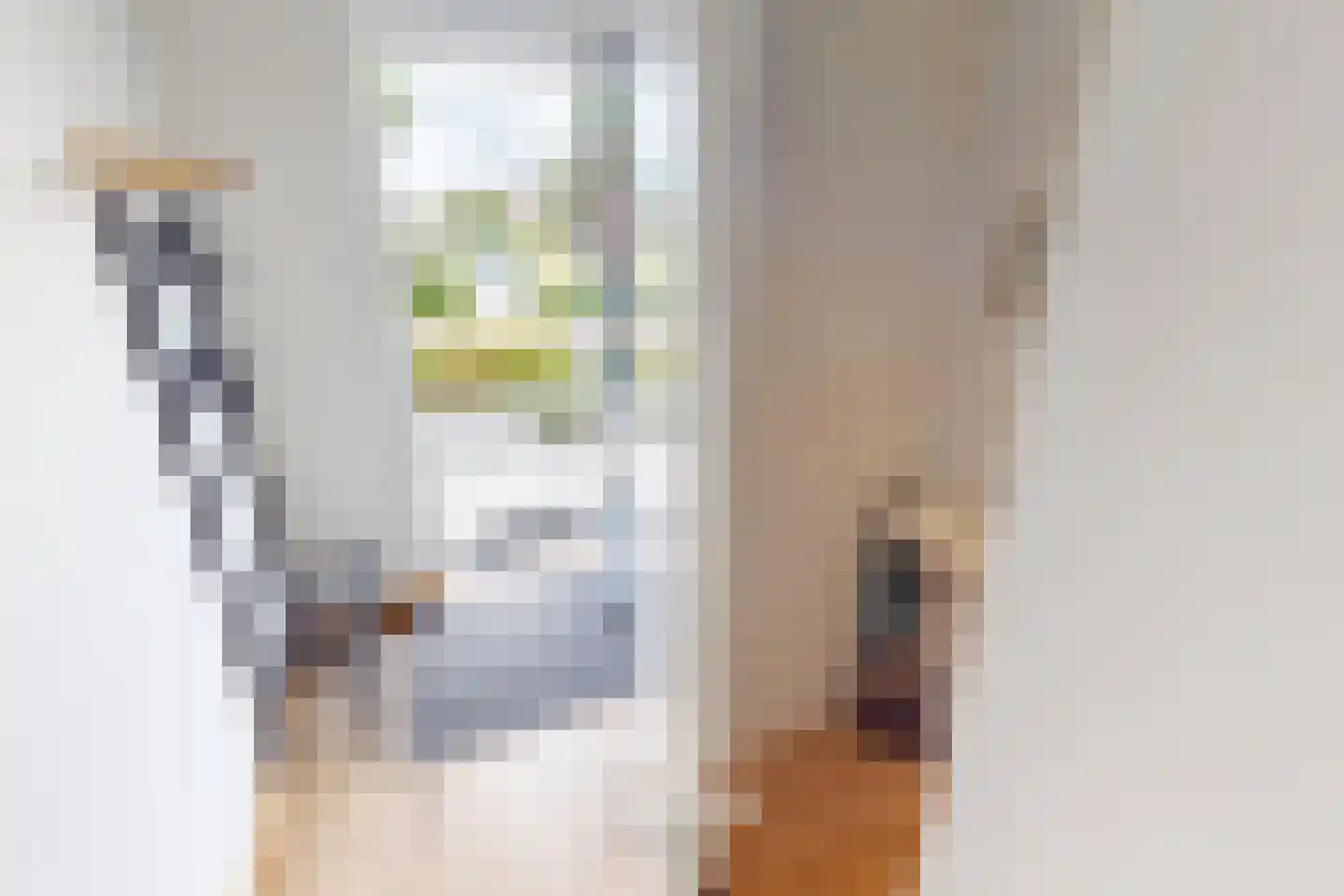 Bregweitje 7 Blokker thumbnail 9