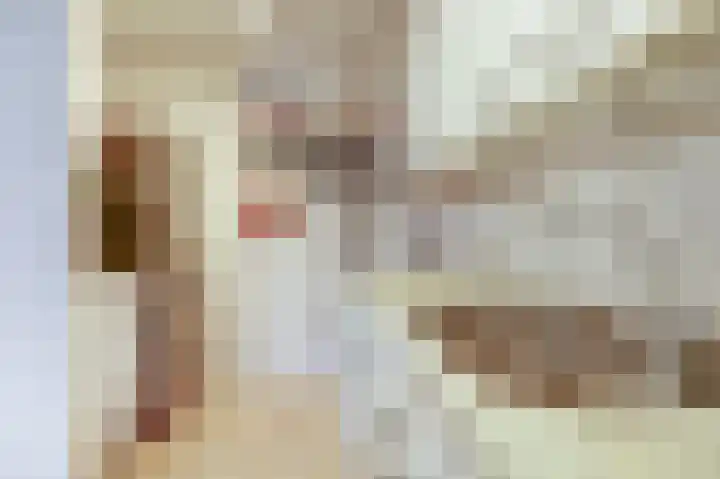 Breidberg 3 Melick thumbnail 16