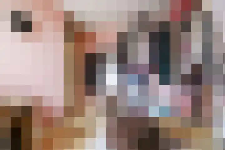 Breidberg 3 Melick thumbnail 26