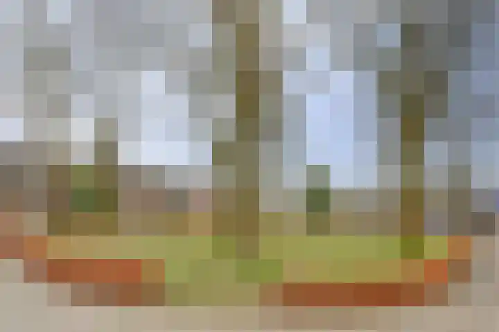 Breidberg 3 Melick thumbnail 41