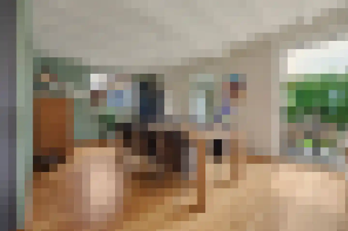 Breideweg 16 Didam thumbnail 12
