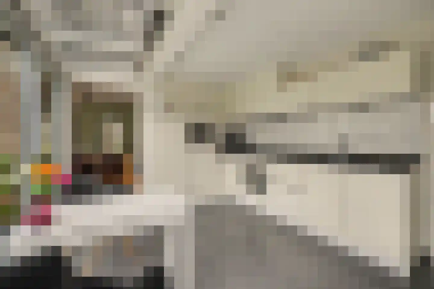 Breideweg 16 Didam thumbnail 16