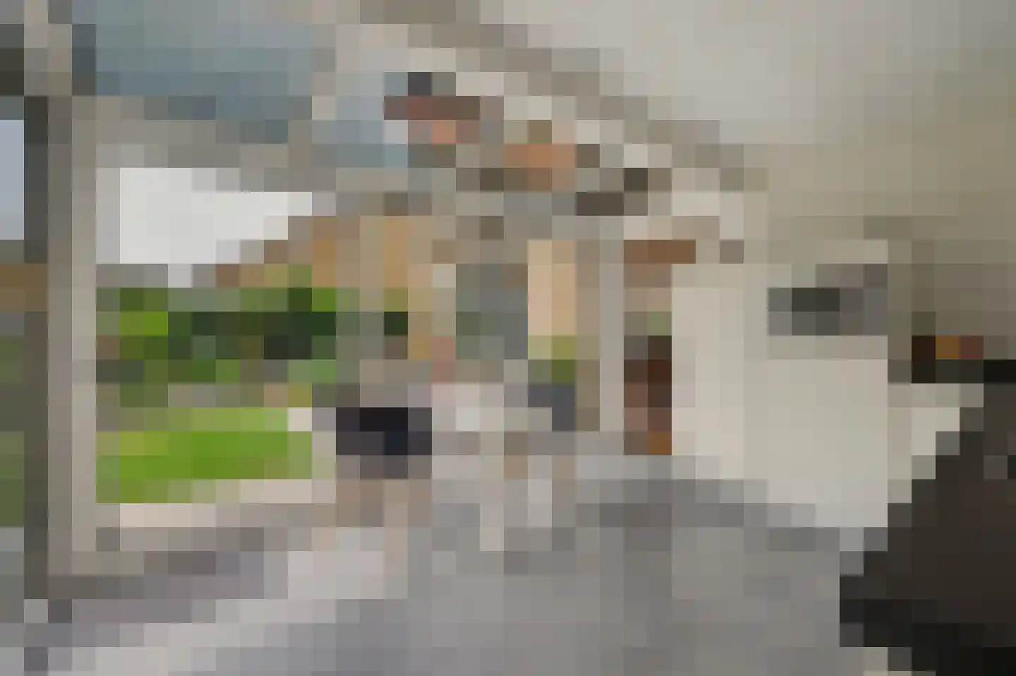 Breideweg 16 Didam thumbnail 17