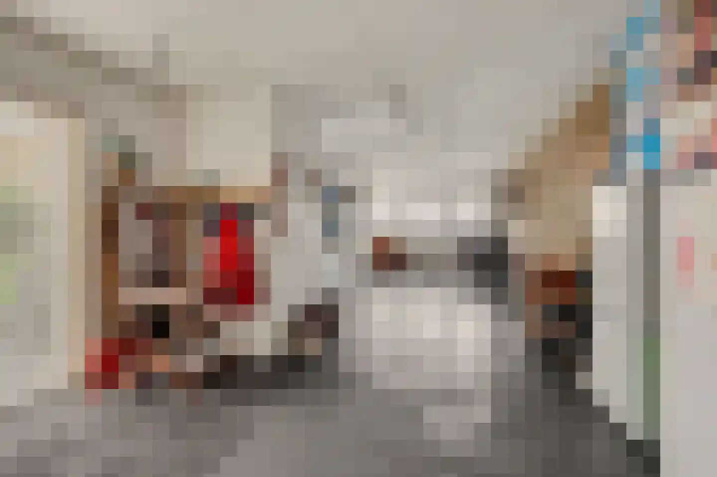 Breideweg 16 Didam thumbnail 20