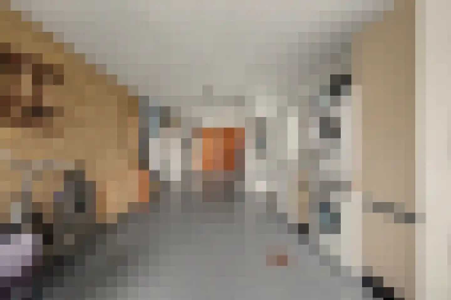 Breideweg 16 Didam thumbnail 22
