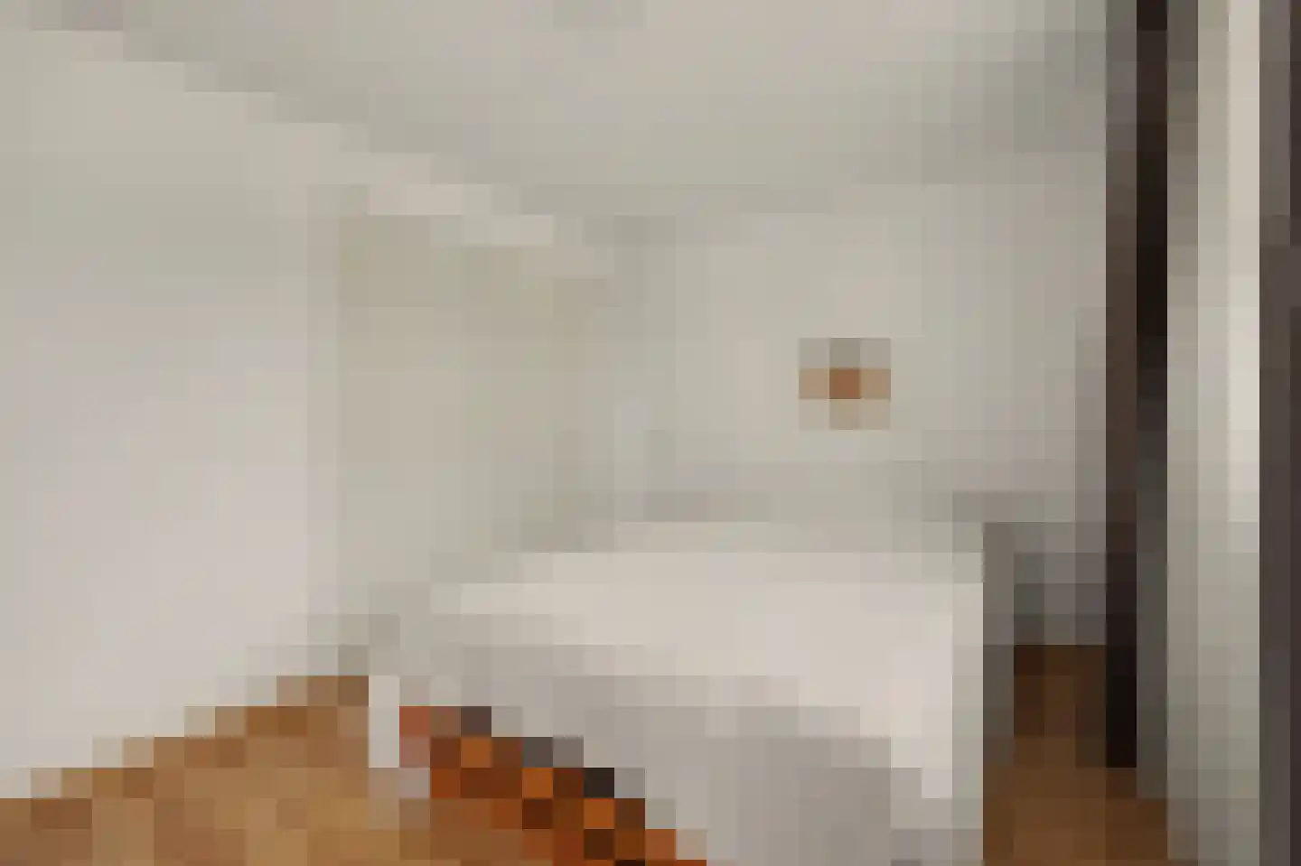 Breideweg 16 Didam thumbnail 27