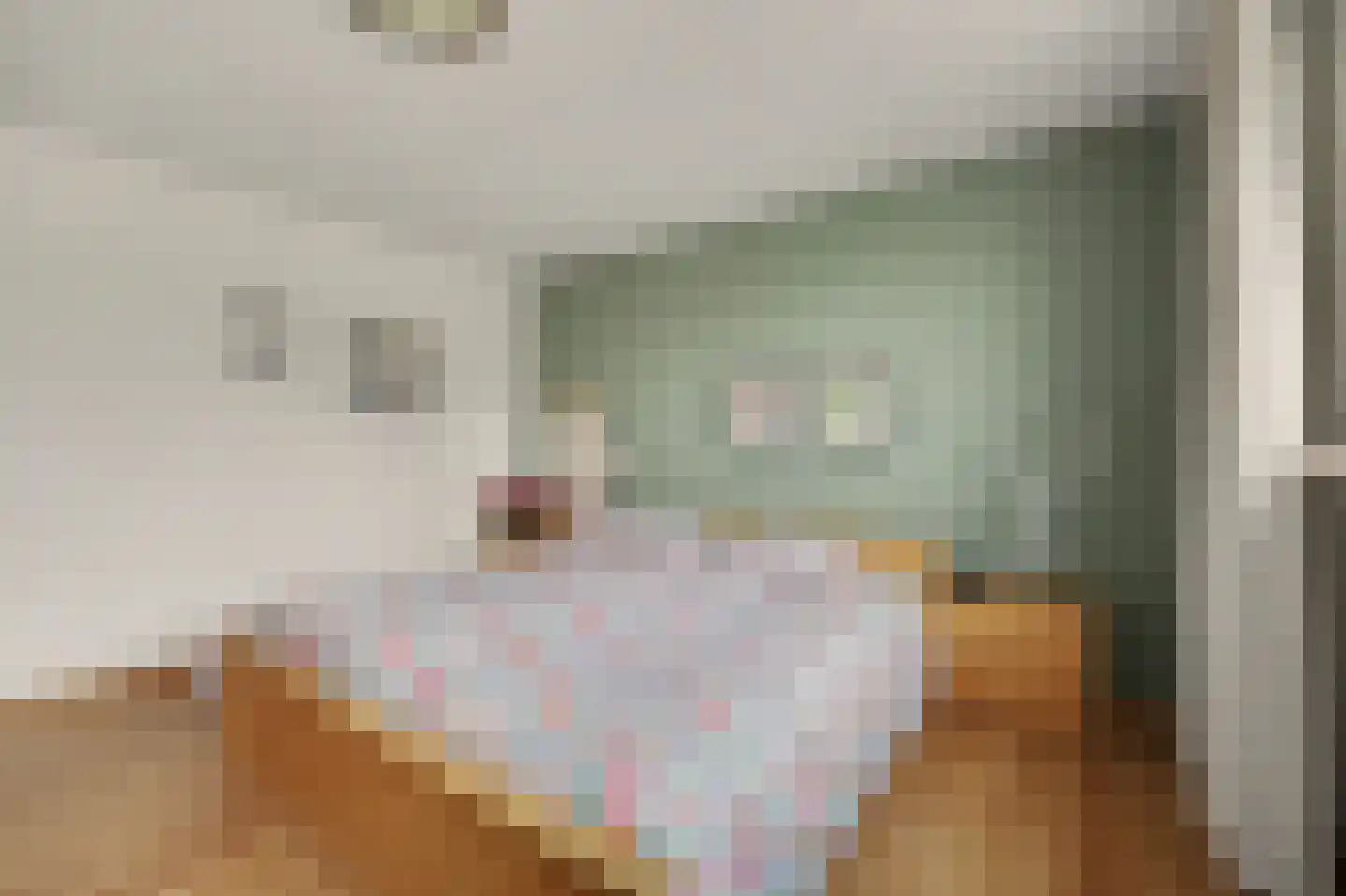 Breideweg 16 Didam thumbnail 30