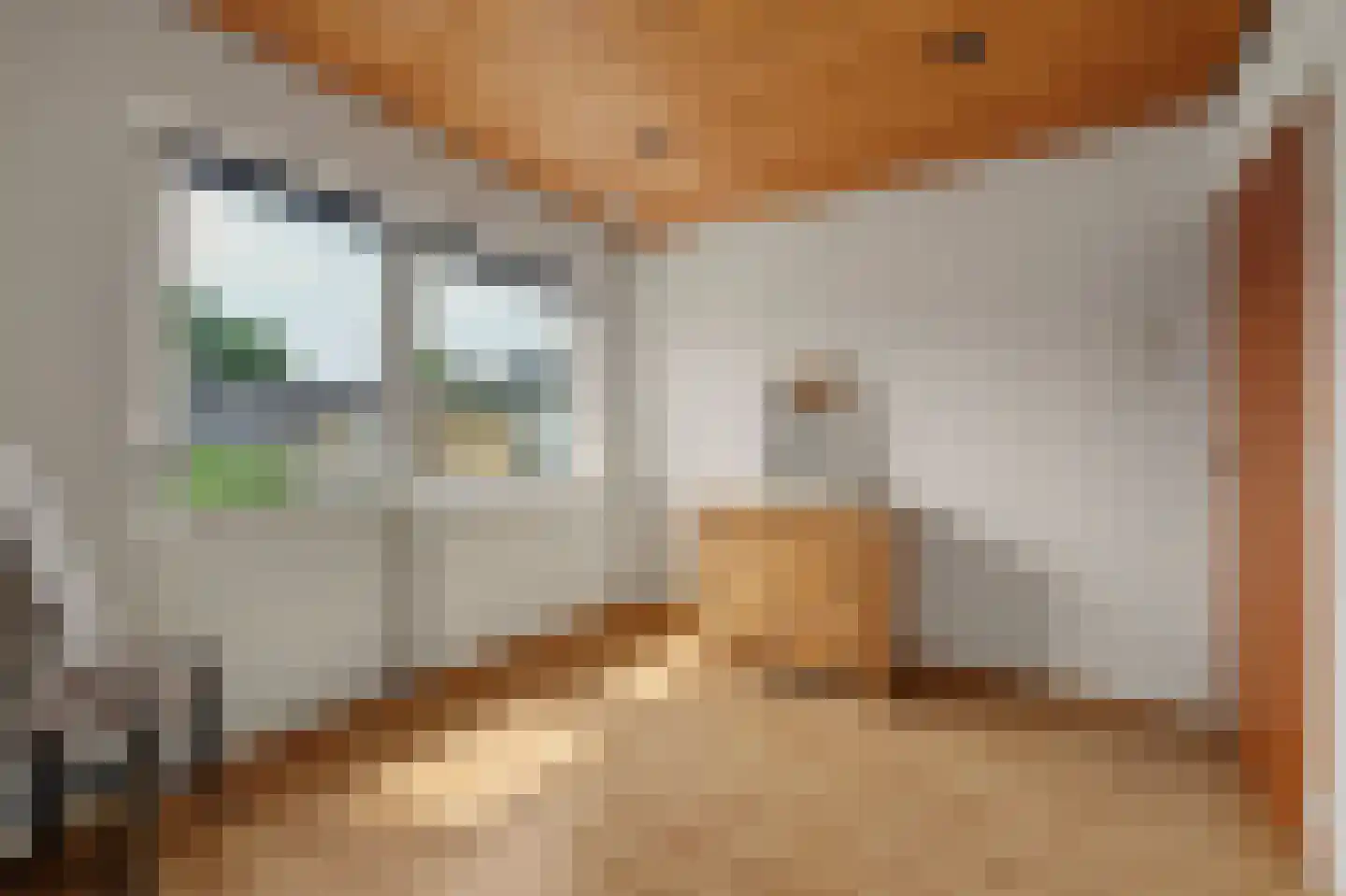 Breideweg 16 Didam thumbnail 32