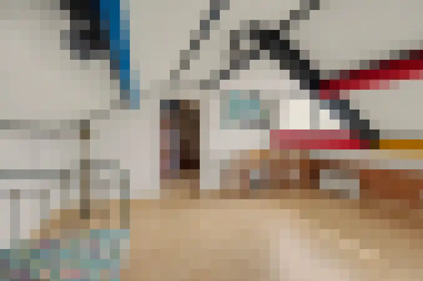 Breideweg 16 Didam thumbnail 36