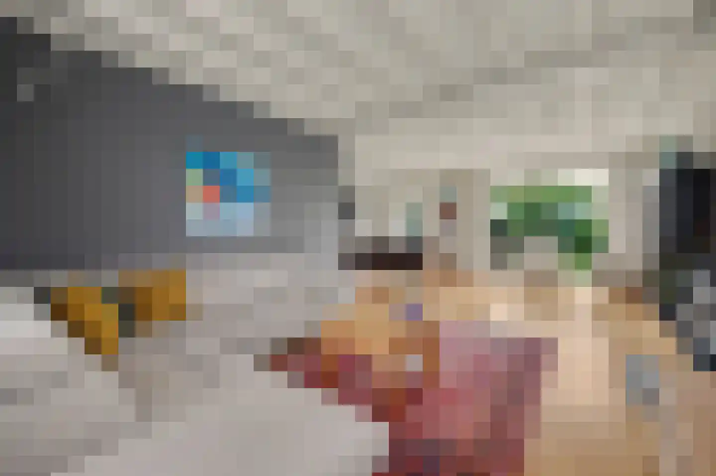 Breideweg 16 Didam thumbnail 9