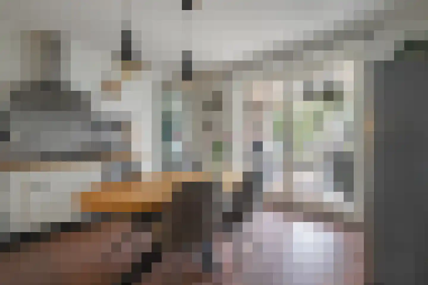 Breinder 3 Schinnen thumbnail 12