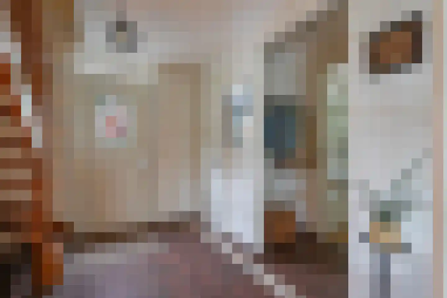 Breinder 3 Schinnen thumbnail 17