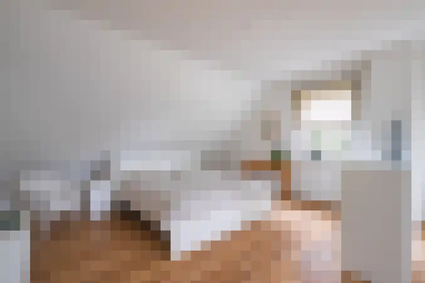 Breinder 3 Schinnen thumbnail 19