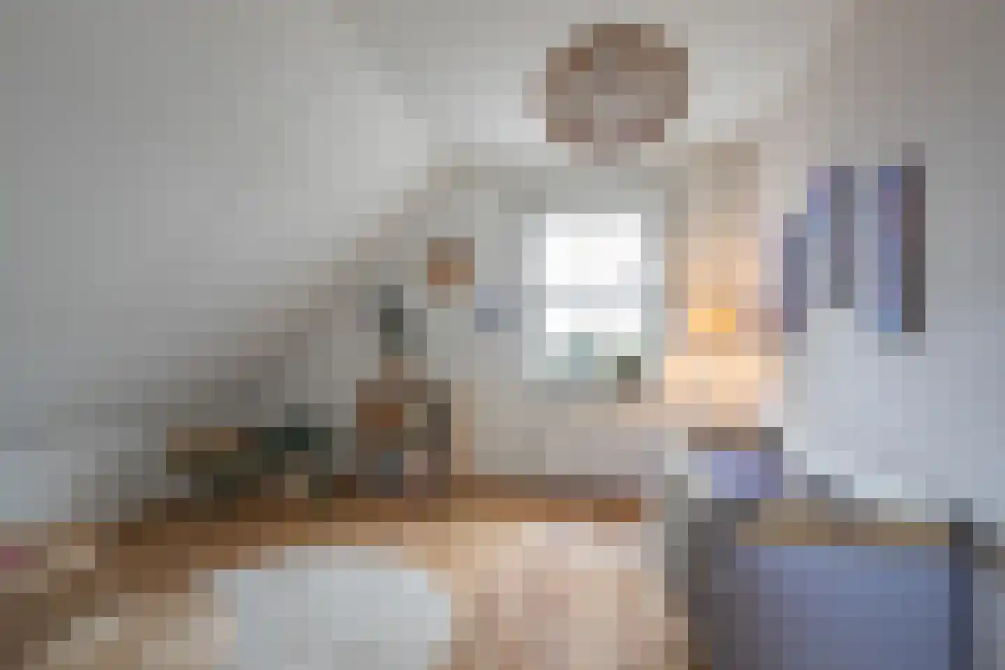 Breinder 3 Schinnen thumbnail 20