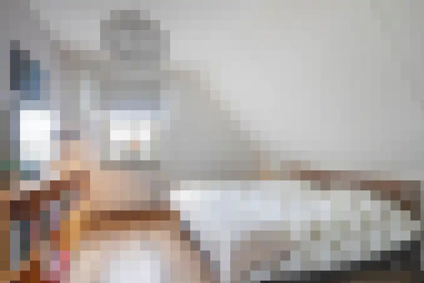 Breinder 3 Schinnen thumbnail 21