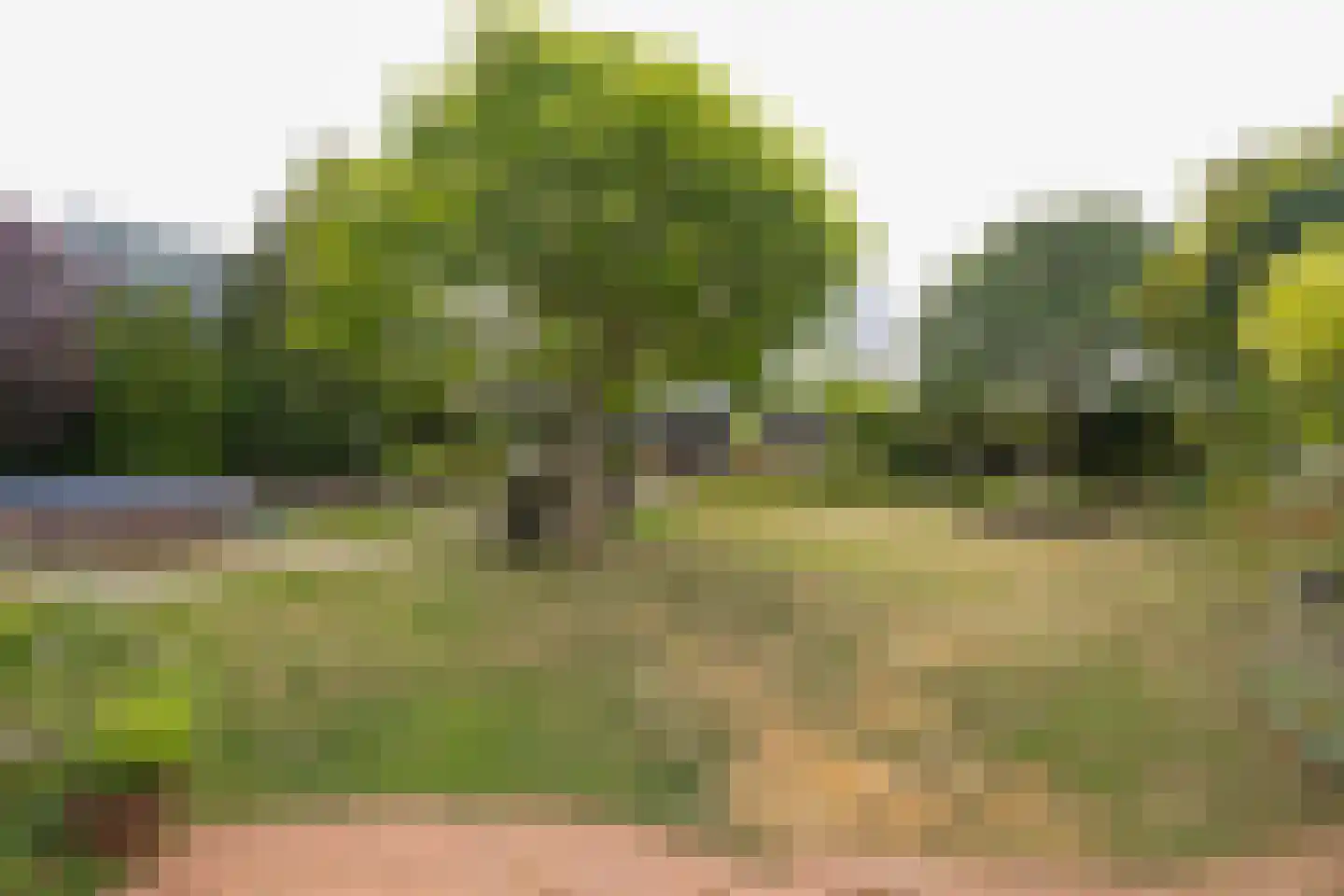 Breinder 3 Schinnen thumbnail 26