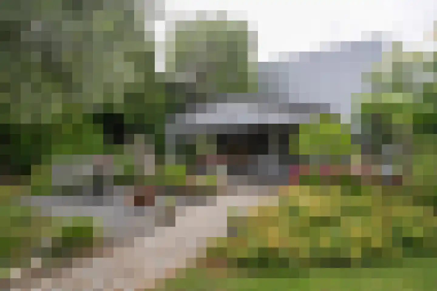 Breinder 3 Schinnen thumbnail 27