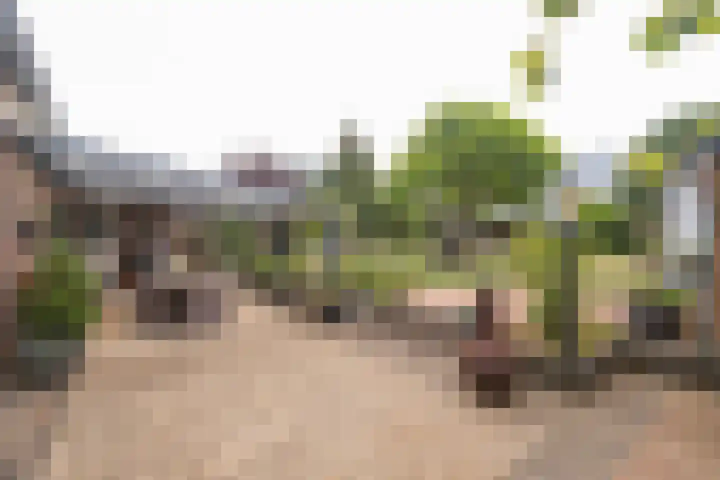 Breinder 3 Schinnen thumbnail 28