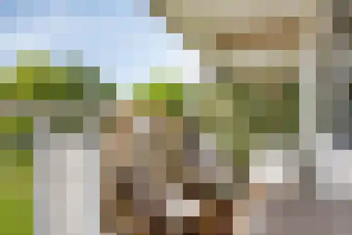 Breitnerhof 12 Meppel thumbnail 17