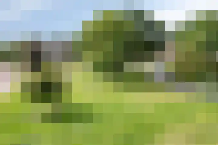 Breitnerhof 12 Meppel thumbnail 20