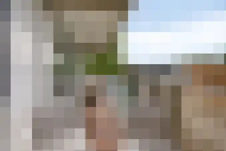 Breitnerhof 12 Meppel thumbnail 4