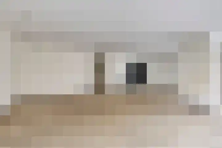 Breitnerhof 134 Hoorn thumbnail 7