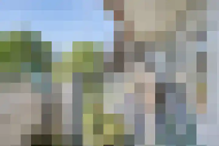 Breitnerhof 14 Meppel thumbnail 17