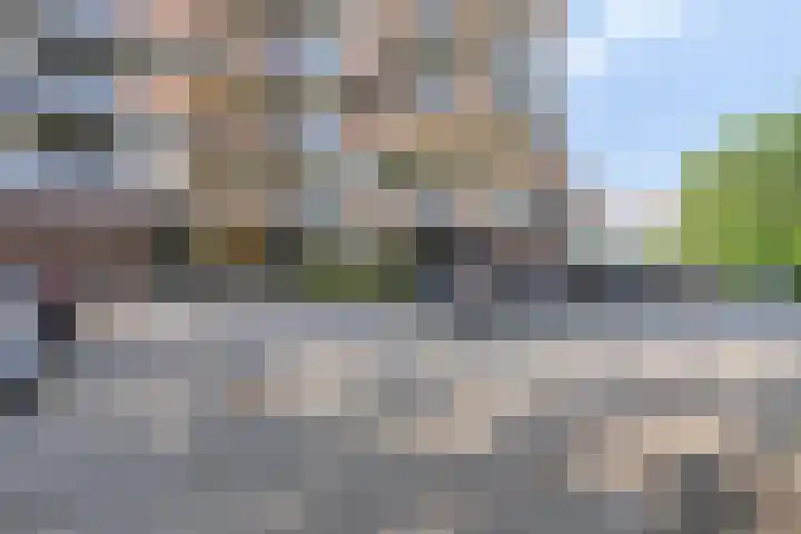 Breitnerhof 14 Meppel thumbnail 20