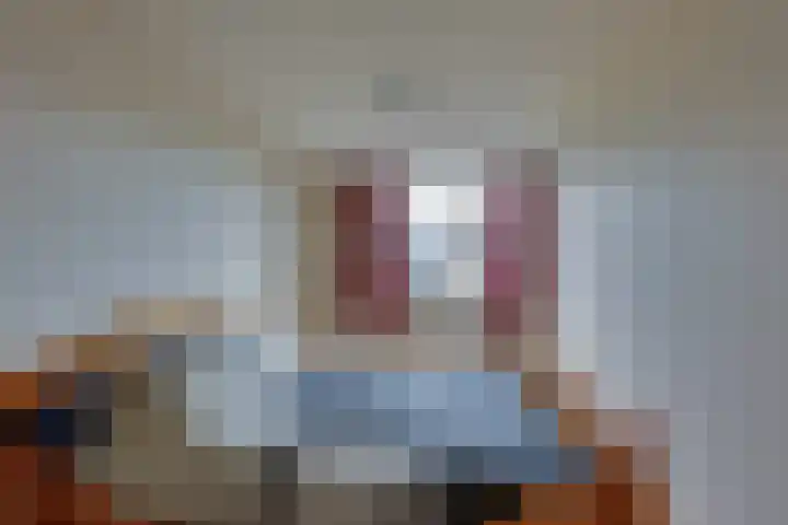 Breitnerhof 17 Meppel thumbnail 18