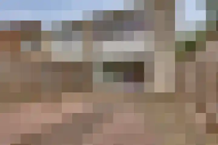 Breitnerhof 17 Meppel thumbnail 31