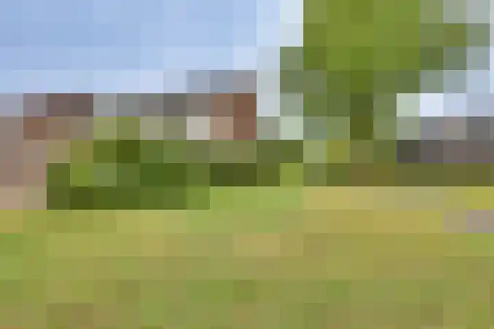 Breitnerhof 17 Meppel thumbnail 33