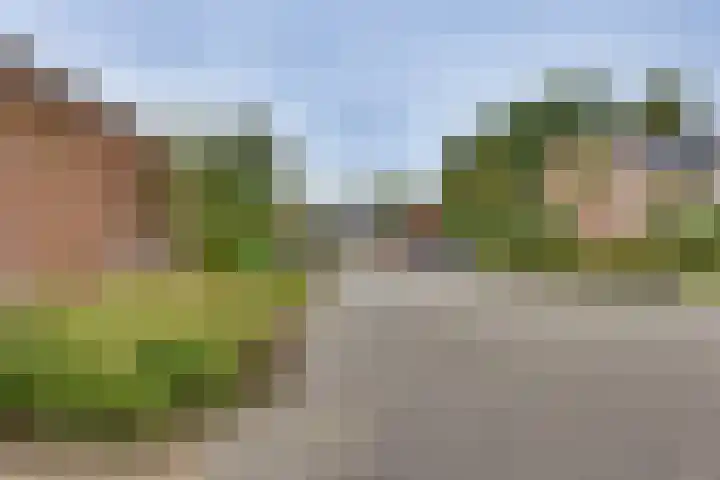 Breitnerhof 17 Meppel thumbnail 35