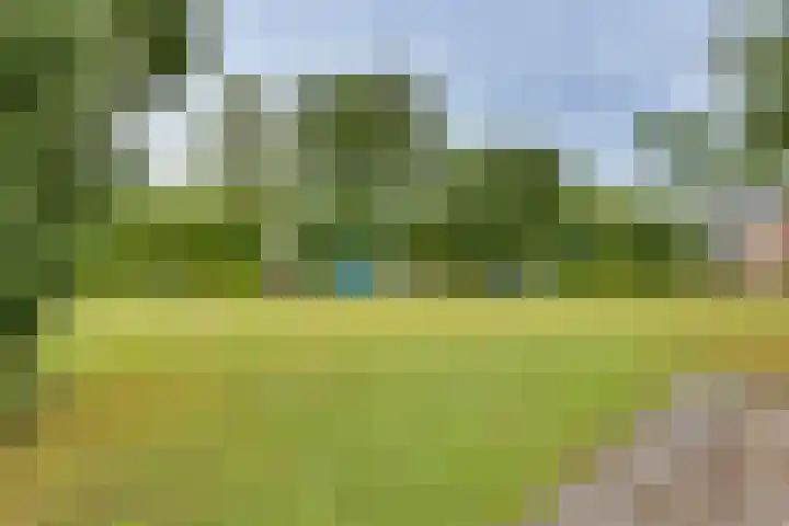 Breitnerhof 17 Meppel thumbnail 37