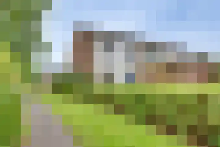 Breitnerhof 17 Meppel thumbnail 5