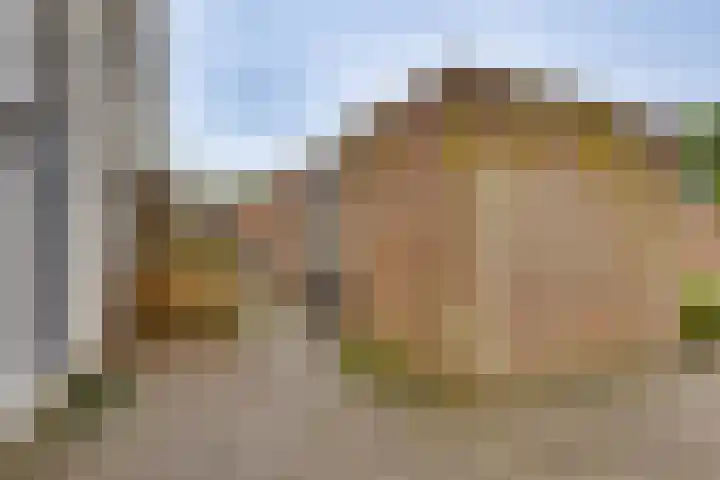 Breitnerhof 17 Meppel thumbnail 6