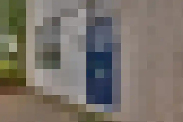 Breitnerhof 17 Meppel thumbnail 7