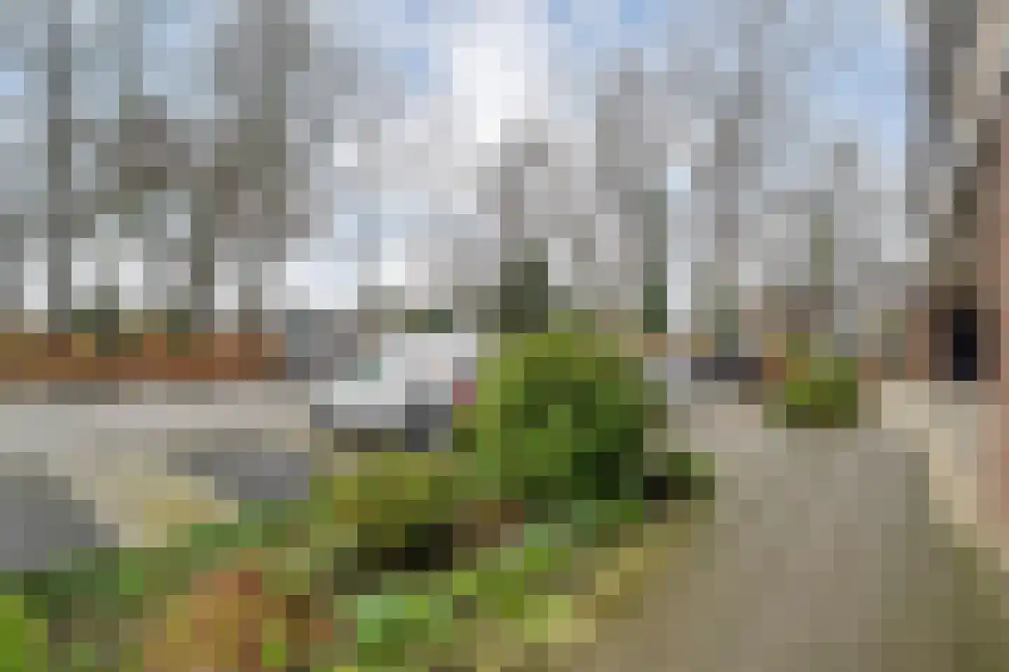 Breitnerhof 34 Meppel thumbnail 10