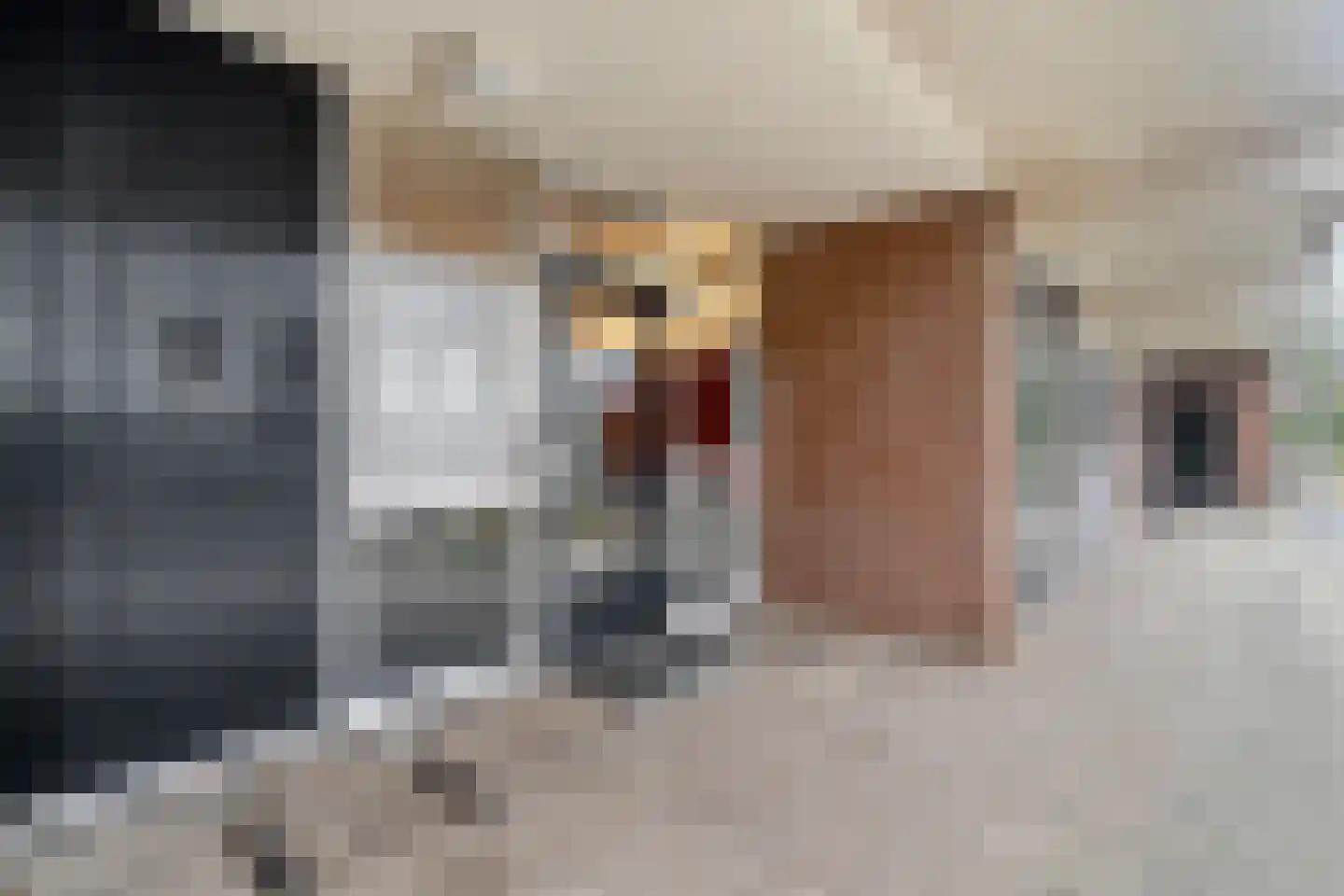 Breitnerhof 34 Meppel thumbnail 11