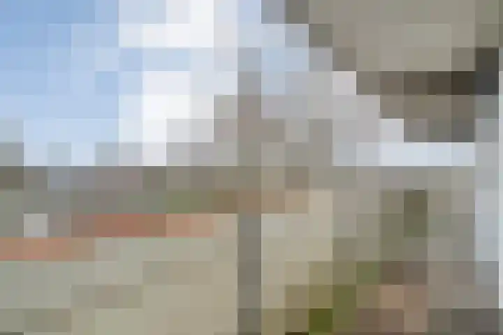 Breitnerhof 34 Meppel thumbnail 30